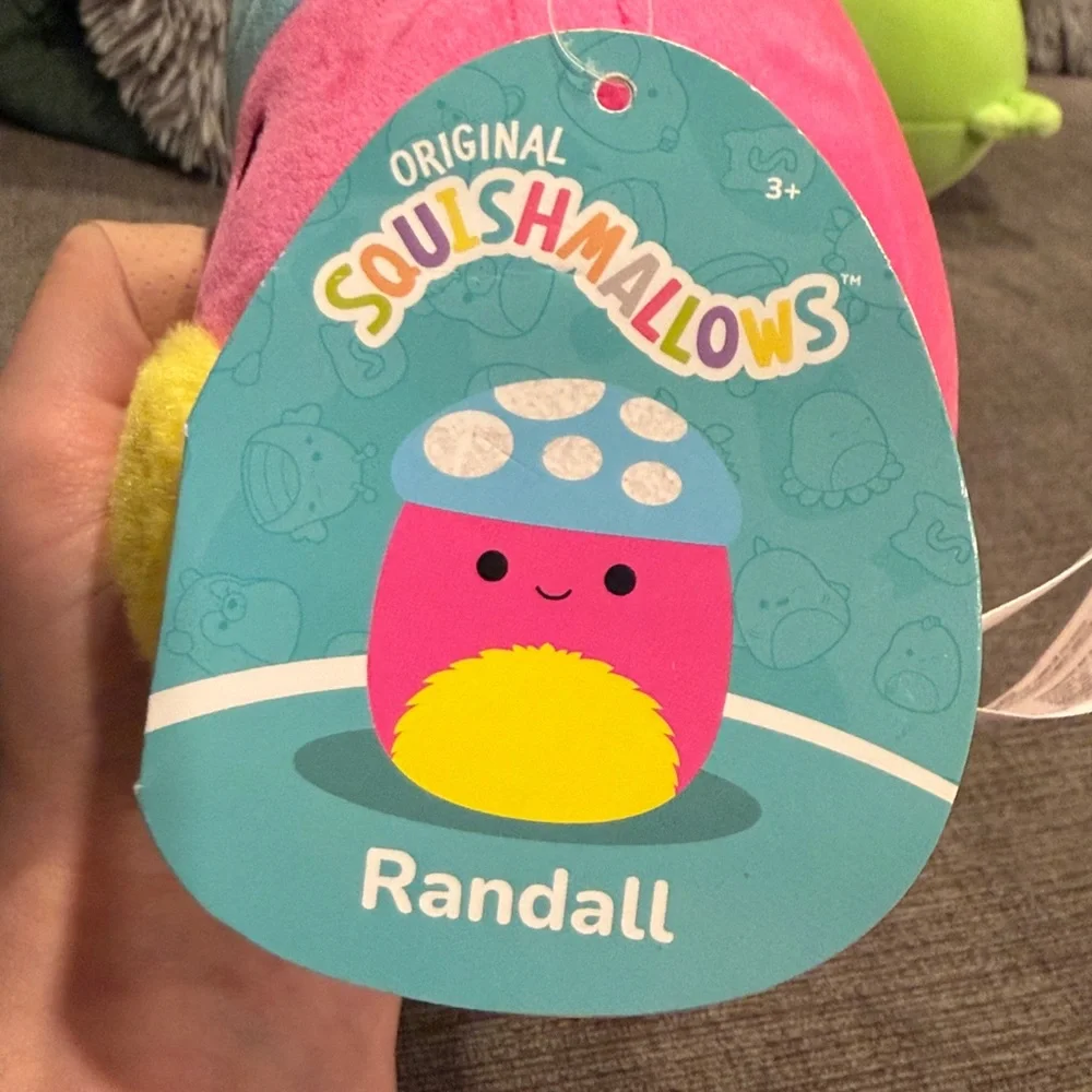 NWT! 5” Randall the Mushroom Squishmallow    squishmallows plush stuffed toys